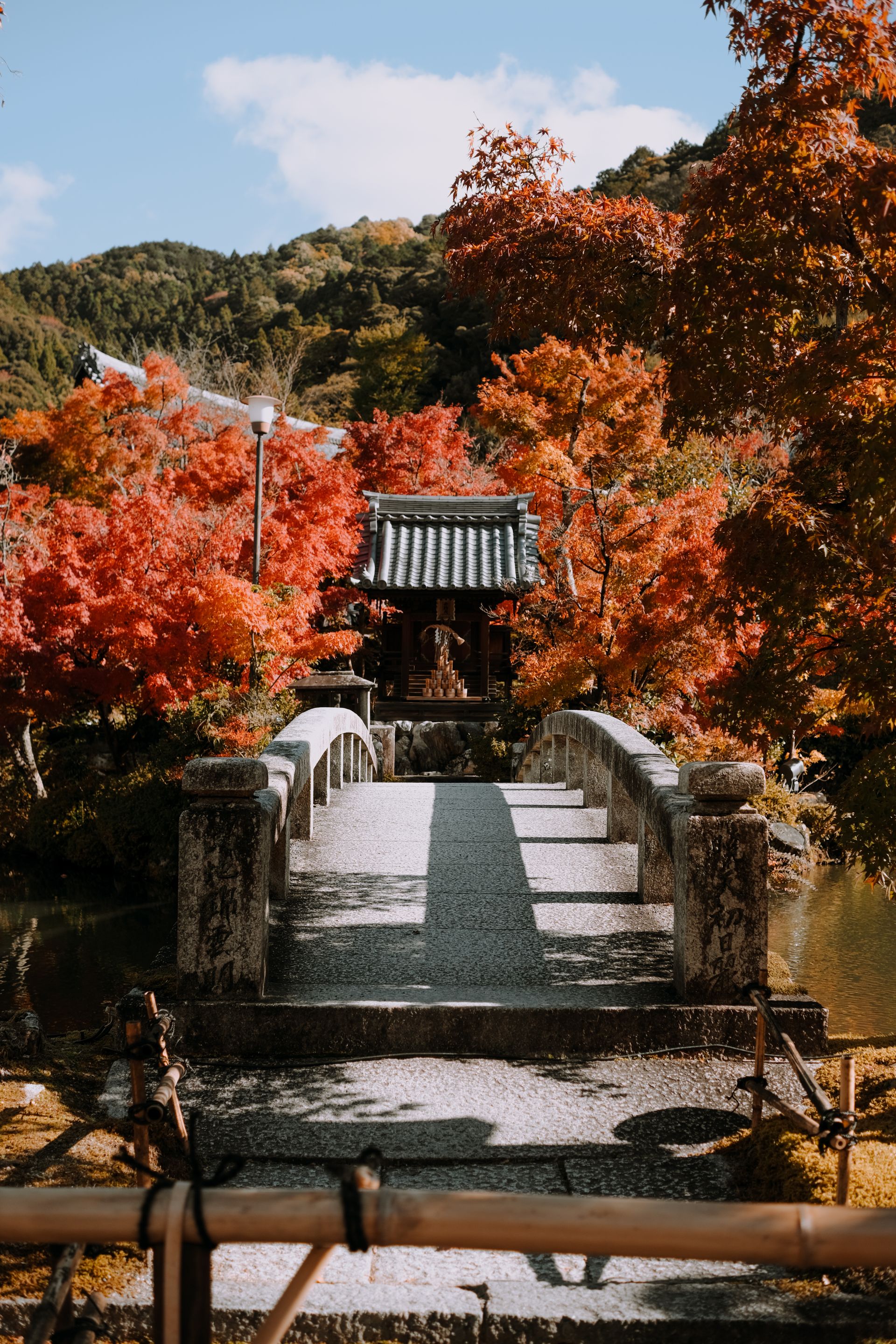 永观堂的庭园与建筑