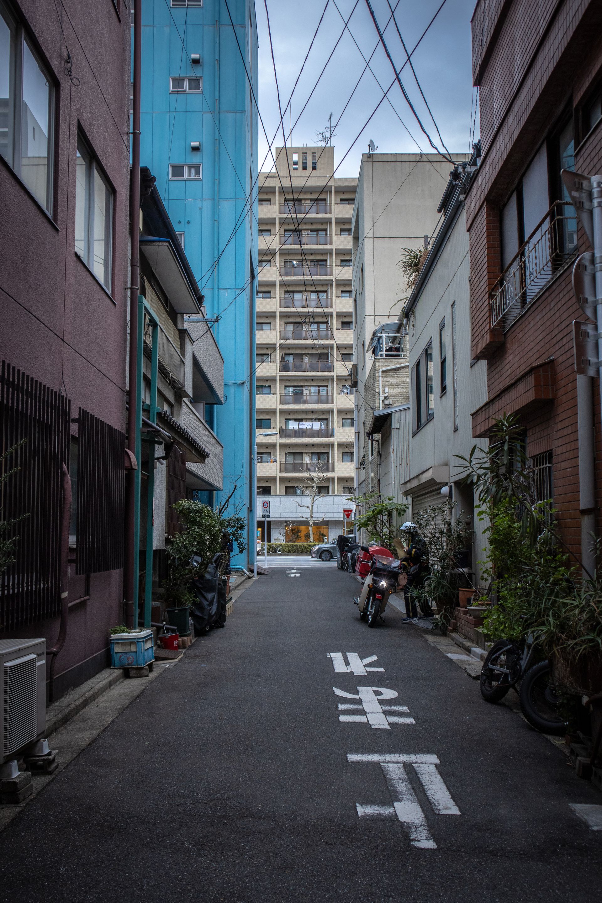 Discover the charm of Tokyo's quiet residential alleys with urban architecture.