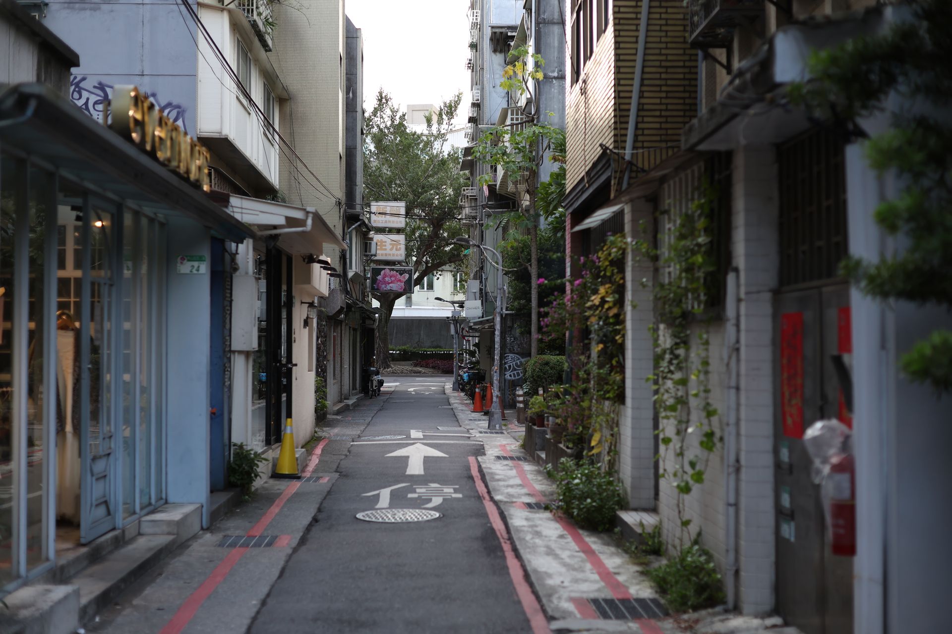 晴光市场的摊位与街巷
