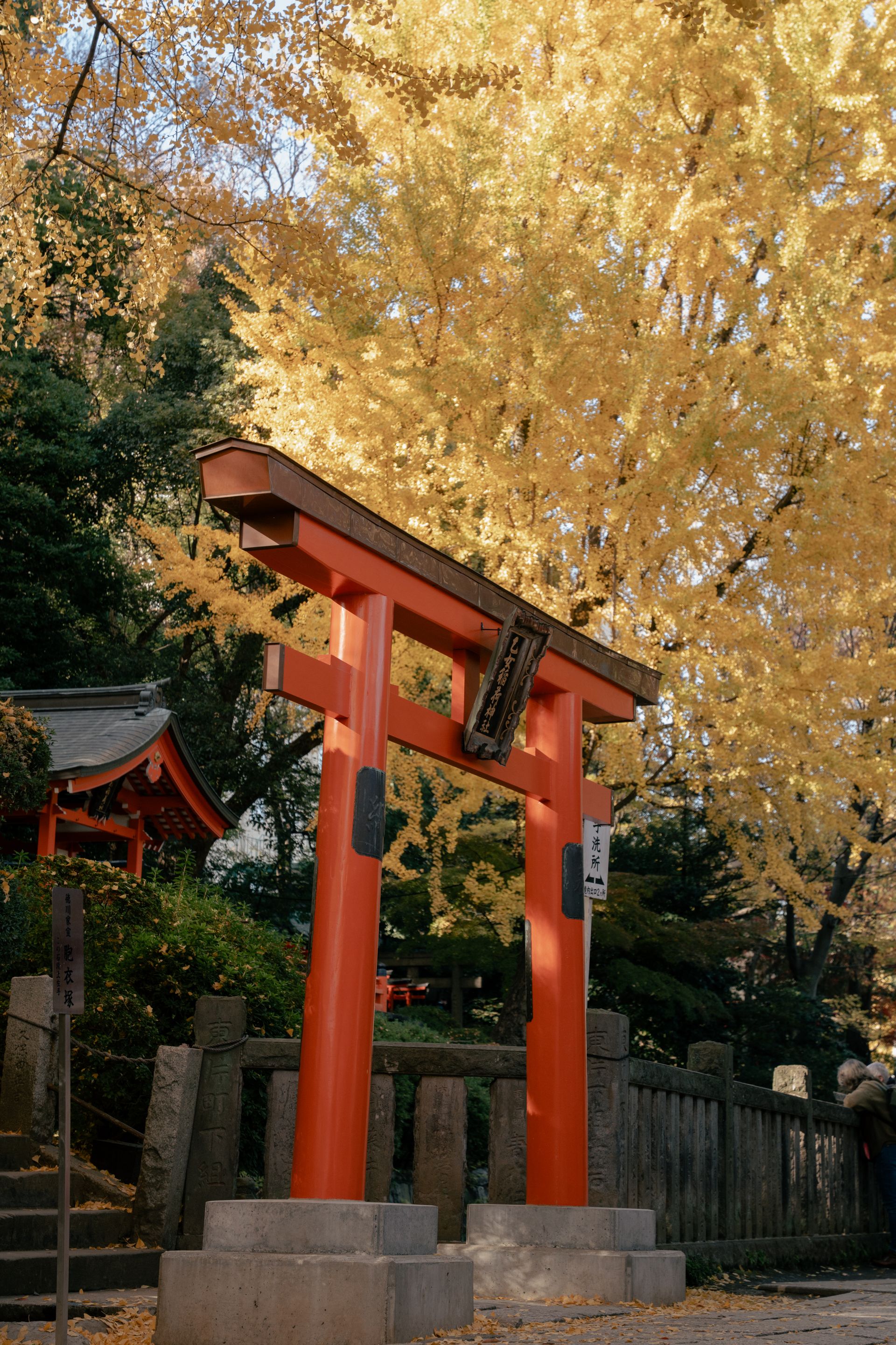 根津神社的鸟居与参道