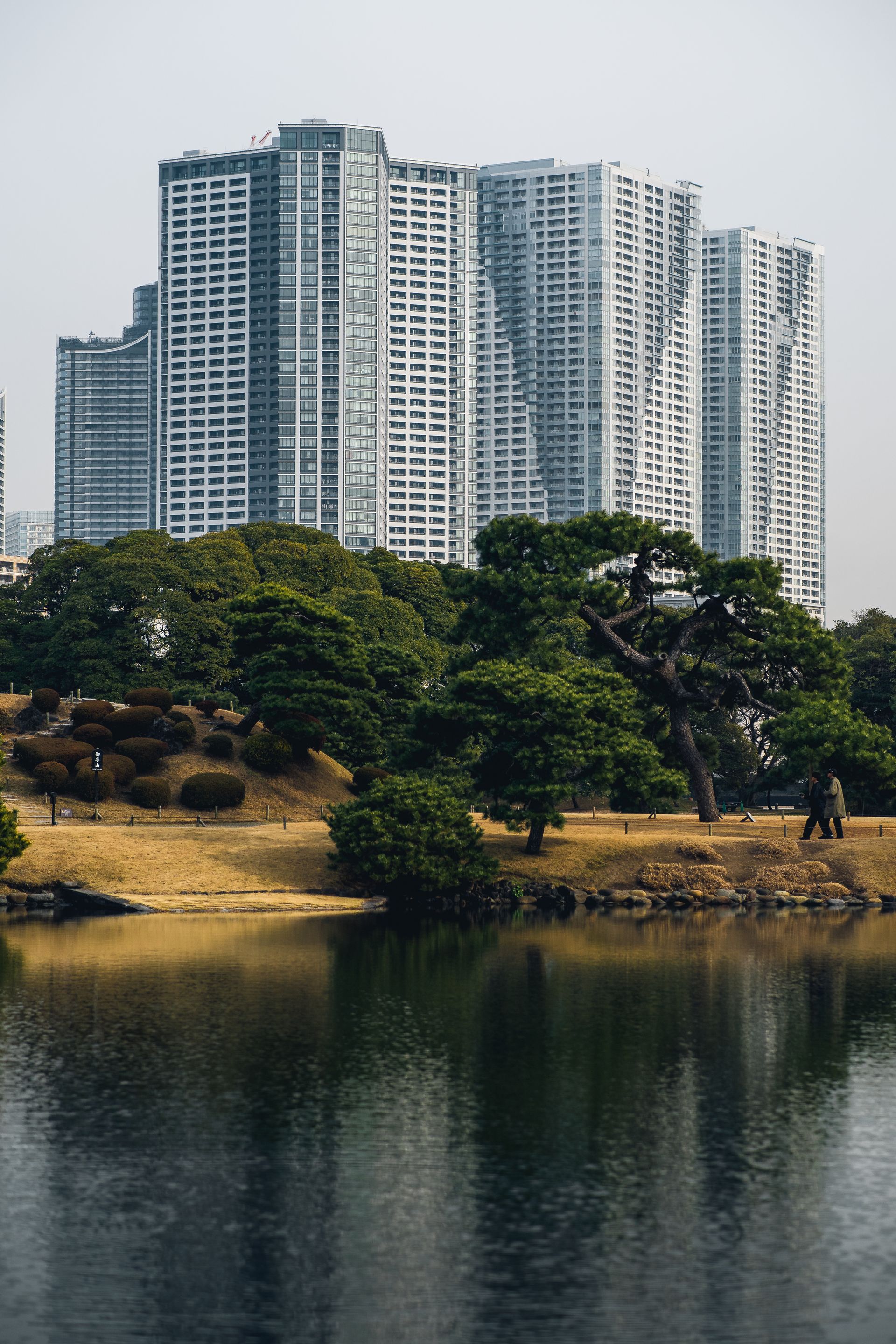 A peaceful garden in Tokyo with skyscrapers towering in the background, reflecting in a serene lake.