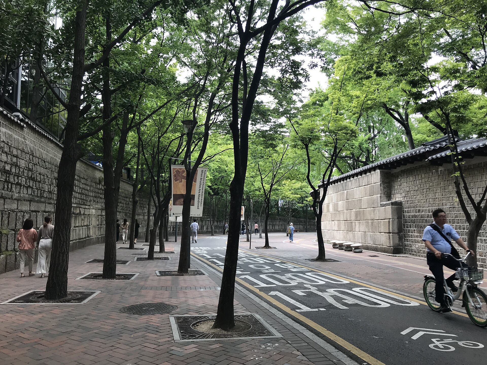 德寿宫石墙边梧桐成行的贞洞路步行道