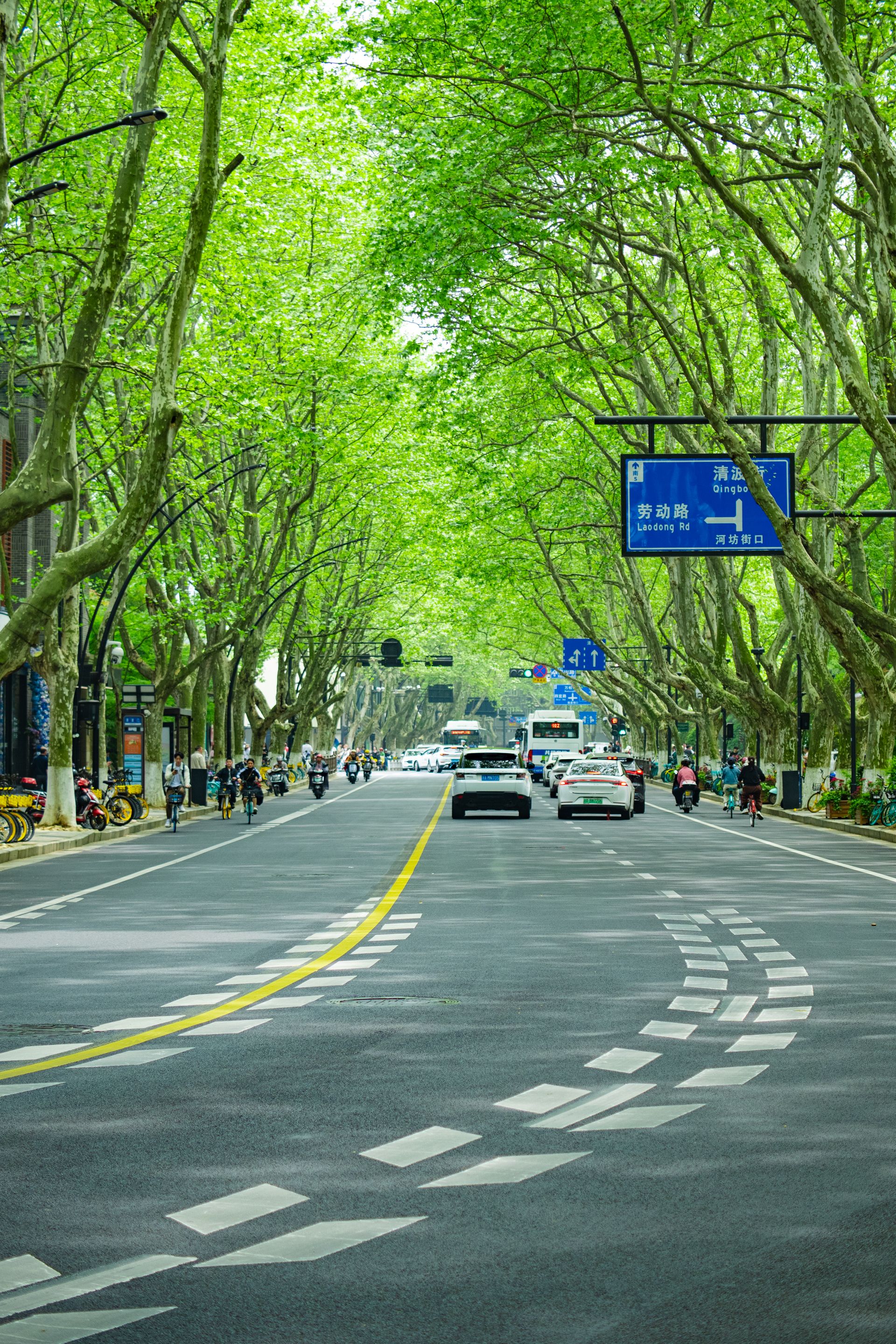 File:Wuliu Alley in Hangzhou 20200913.jpg