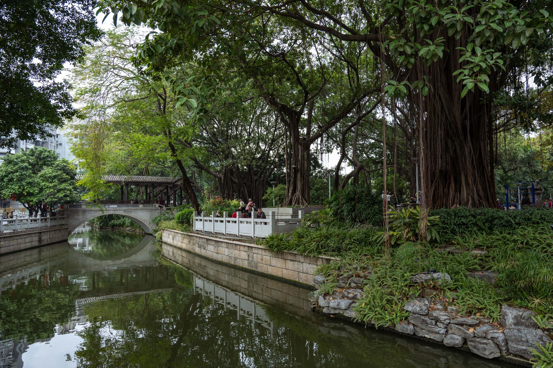 跨过湖面的石拱桥与临水廊亭，两岸是高大的榕树