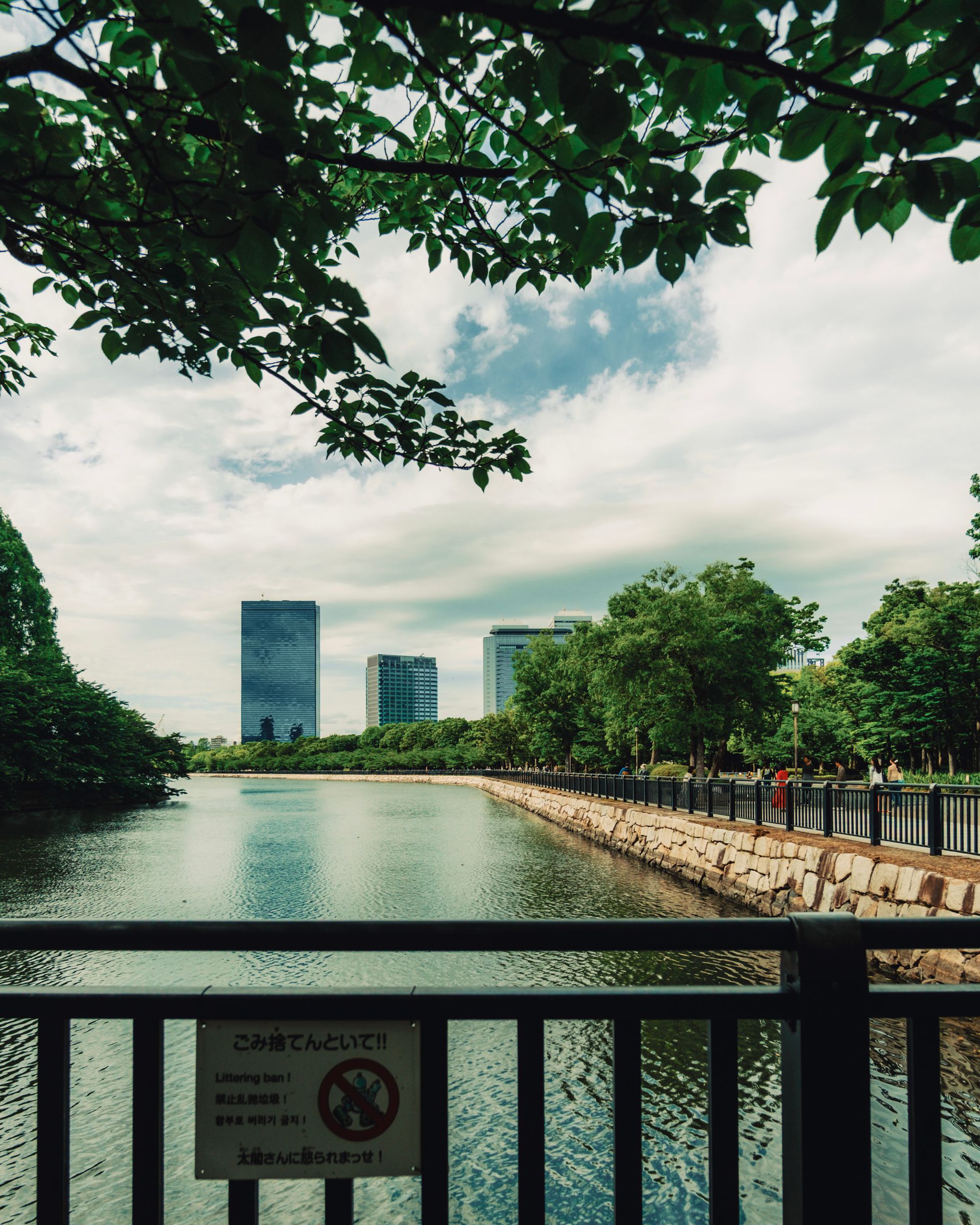 Urban skyline view over a tranquil waterfront with lush greenery and modern buildings.
