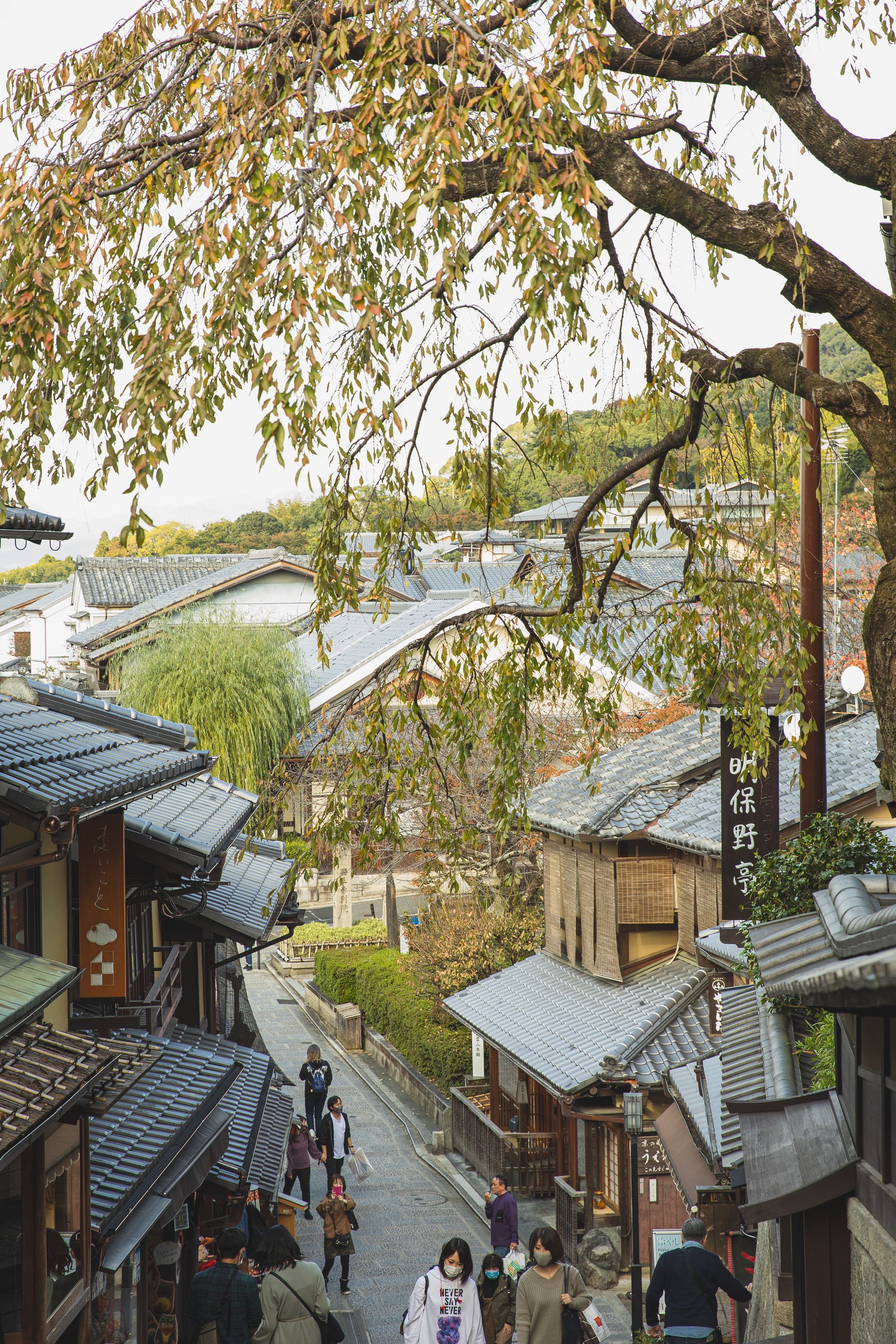 Traditional oriental buildings around narrow pavement street with various vegetation and unrecognizable tourists