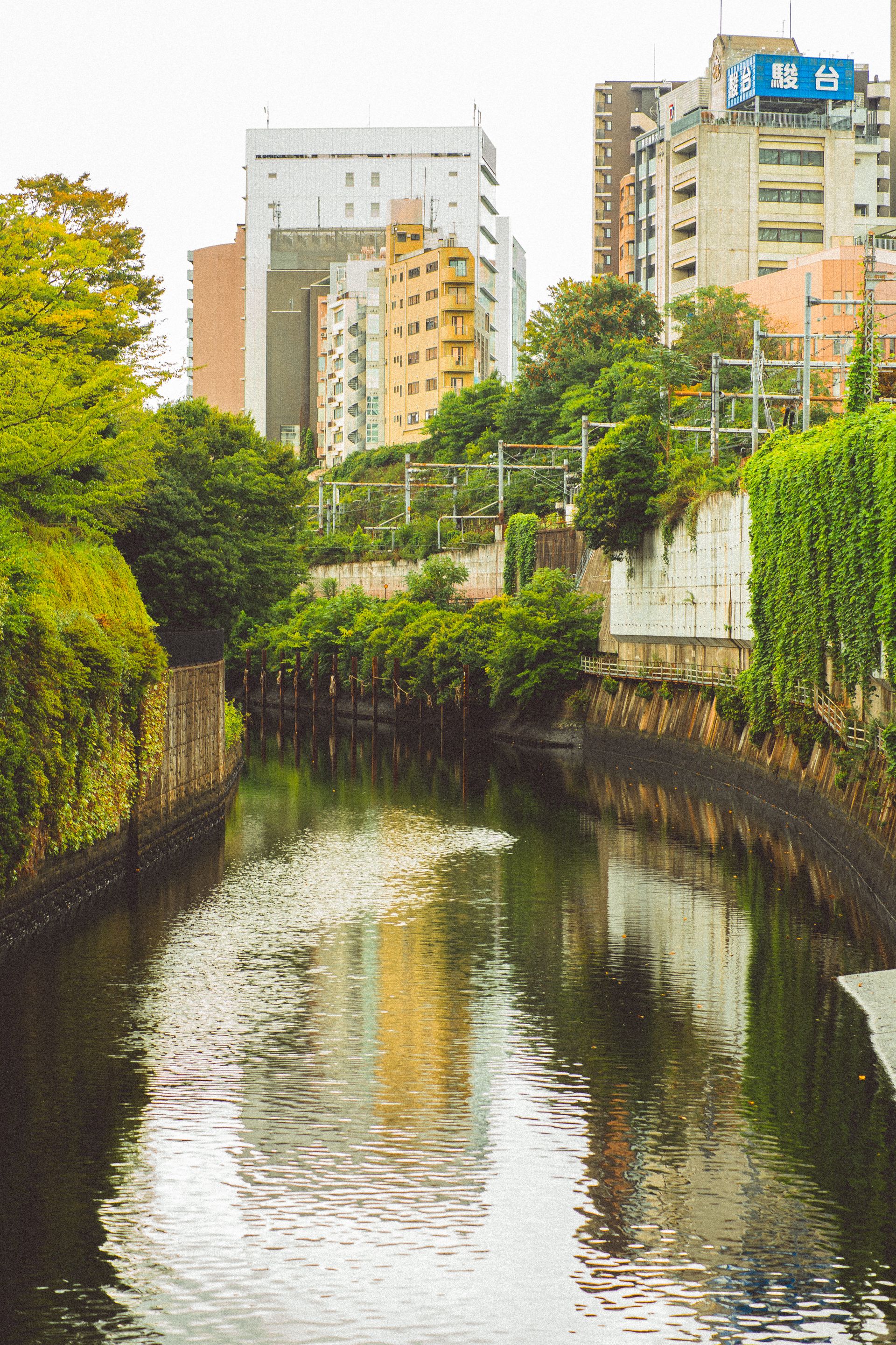 Explore the blend of nature and architecture with this Tokyo canal surrounded by buildings.