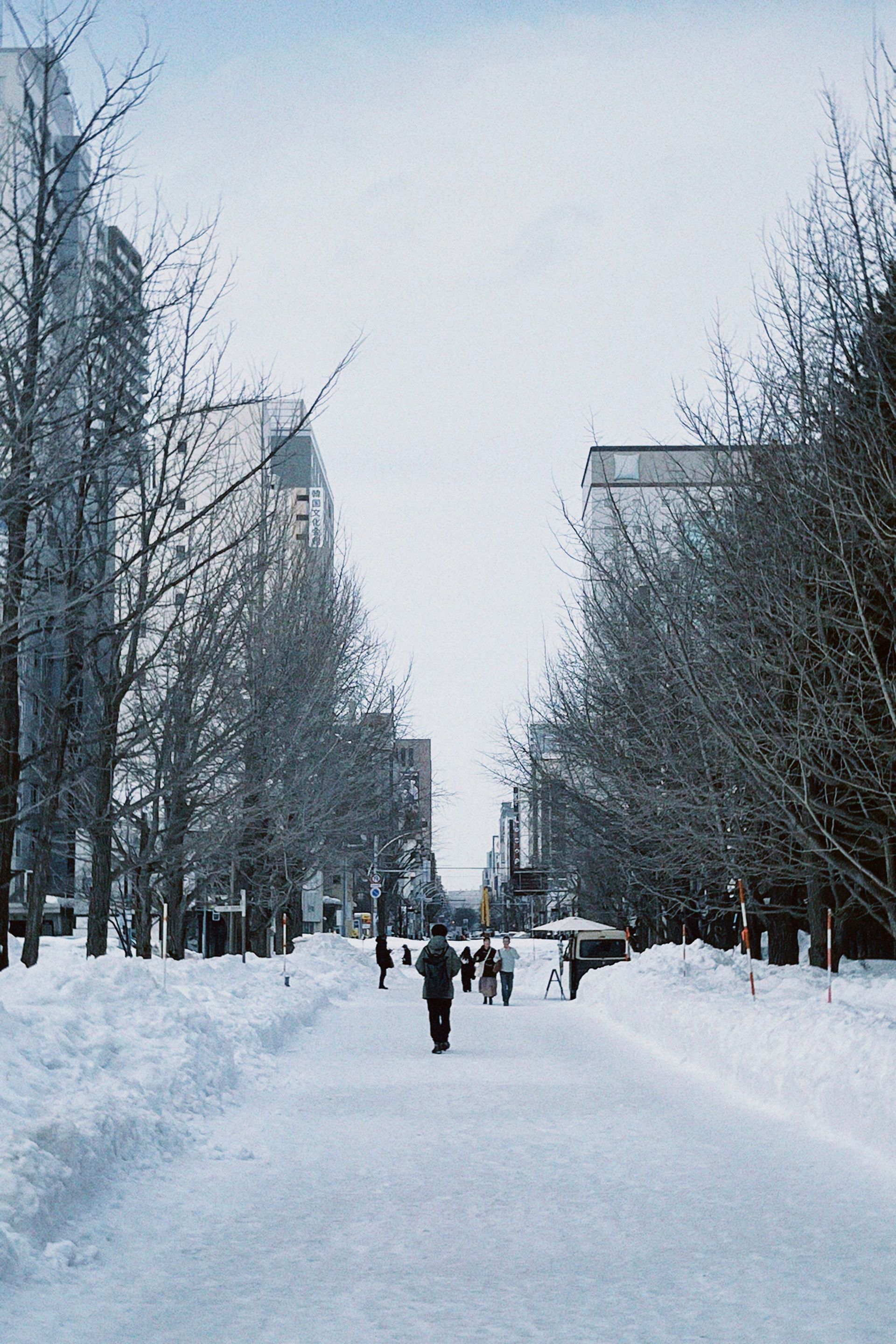 Urban winter scene in Sapporo, Japan with people walking through snow-covered street lined with trees.