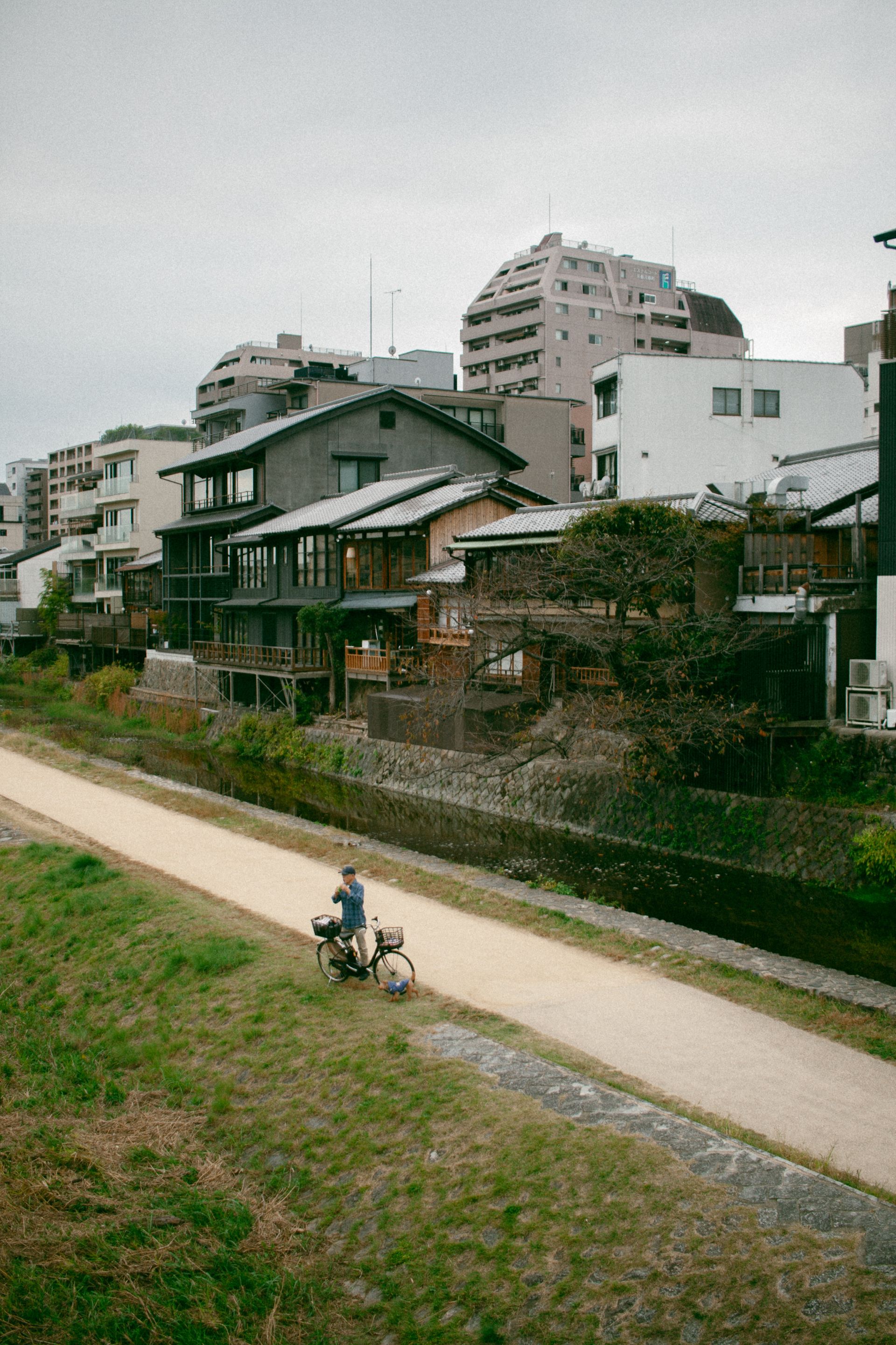 堀川通的街道与恢复的河道