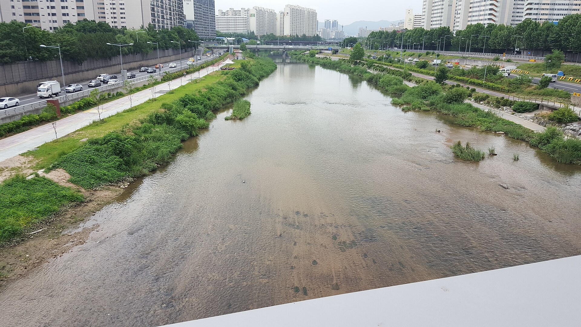 宽阔的城市河道水色偏黄褐、水面露出浅滩与石块，两岸是浓密绿植带与并行车道，远处立着高层住宅与跨河桥