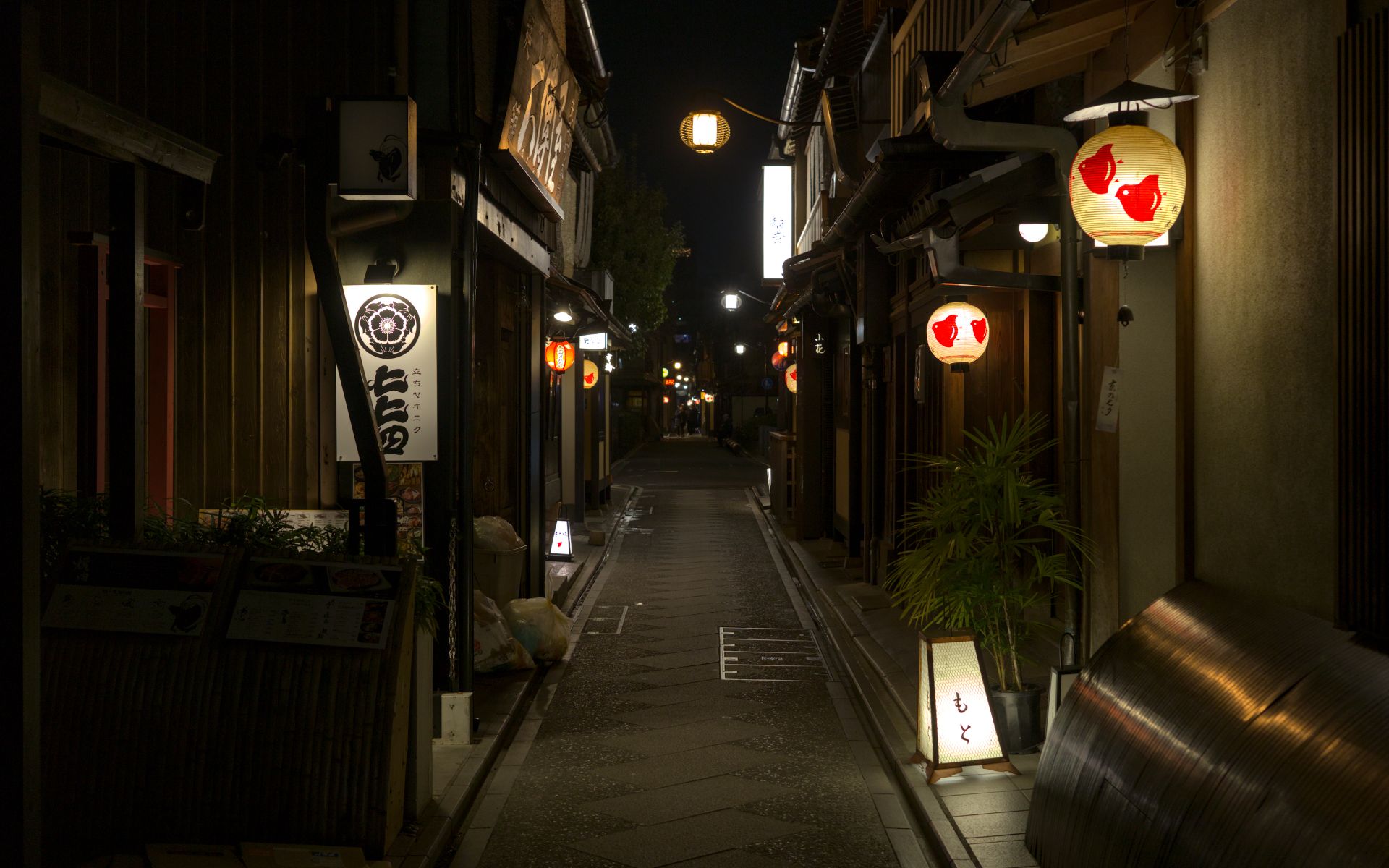 A tranquil night scene in Kyoto's Pontocho neighborhood featuring traditional Japanese lanterns.