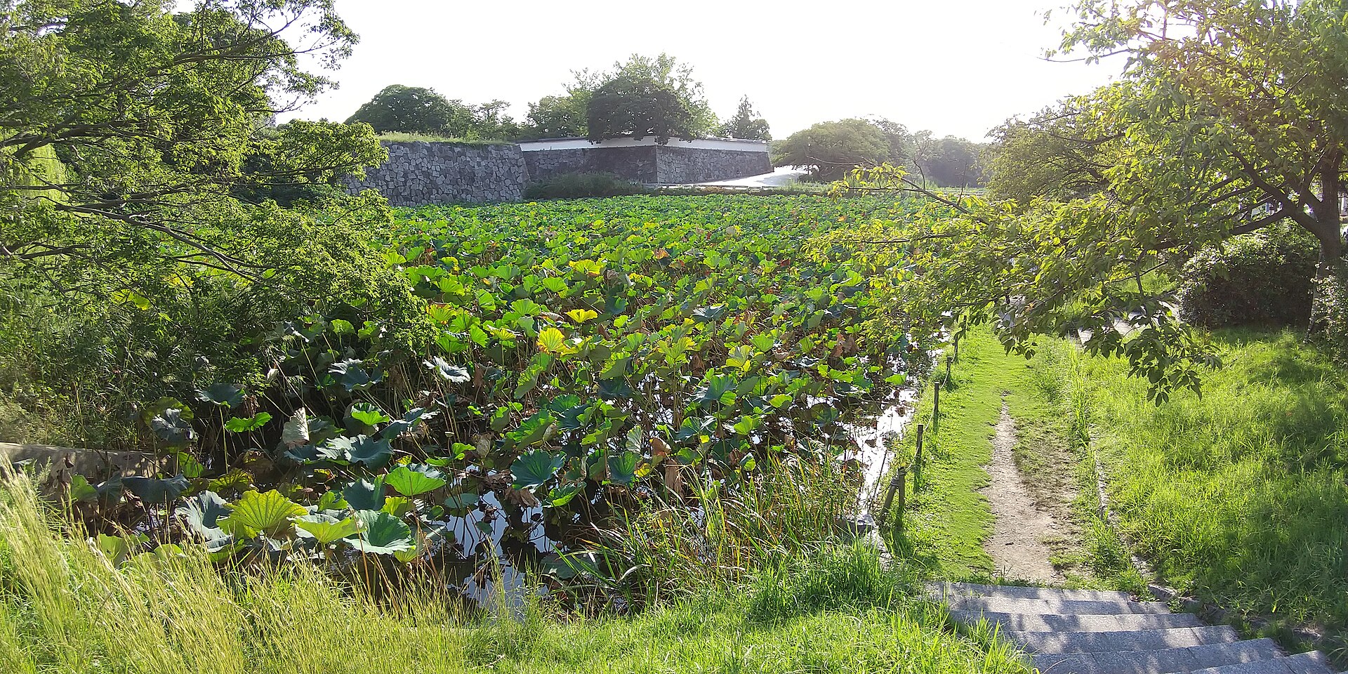 2nd Moat of Fukuoka Castle (Jōnai, Chūō-ku, Fukuoka City, Japan)