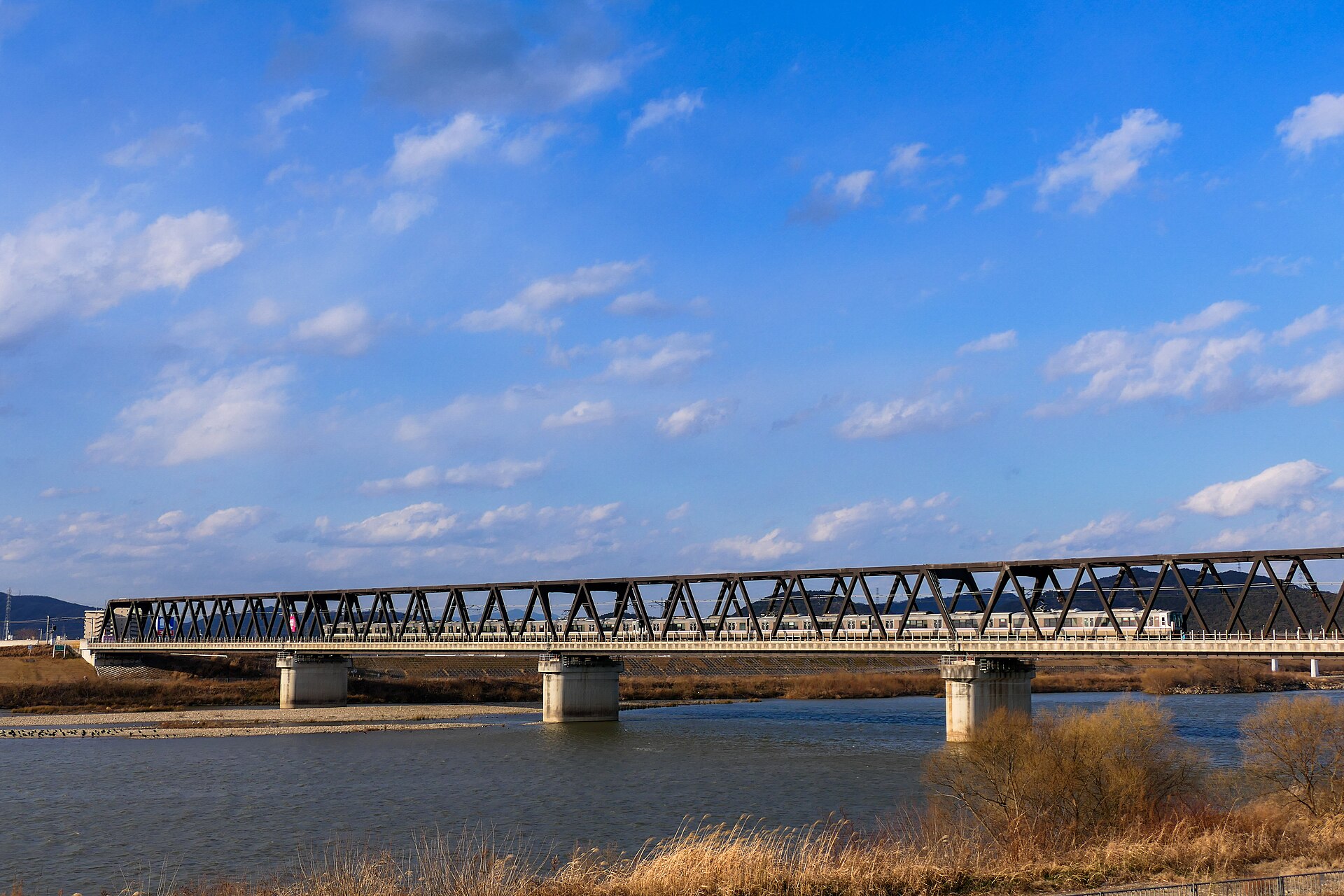 加古川を渡るJR山陽本線(神戸線)の加古川橋梁と通過する223系電車(加古川 - 宝殿間)