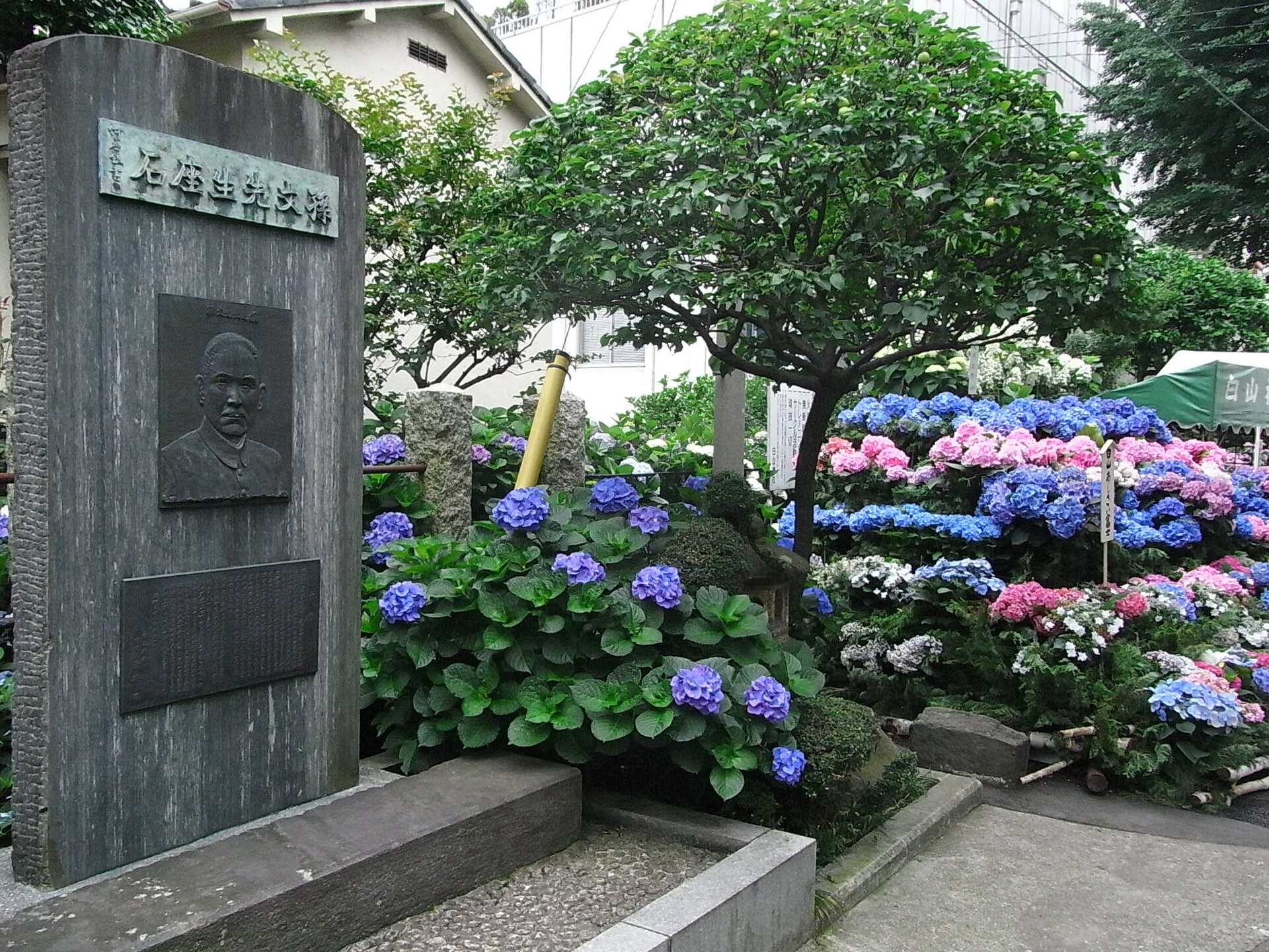 文京区 白山神社