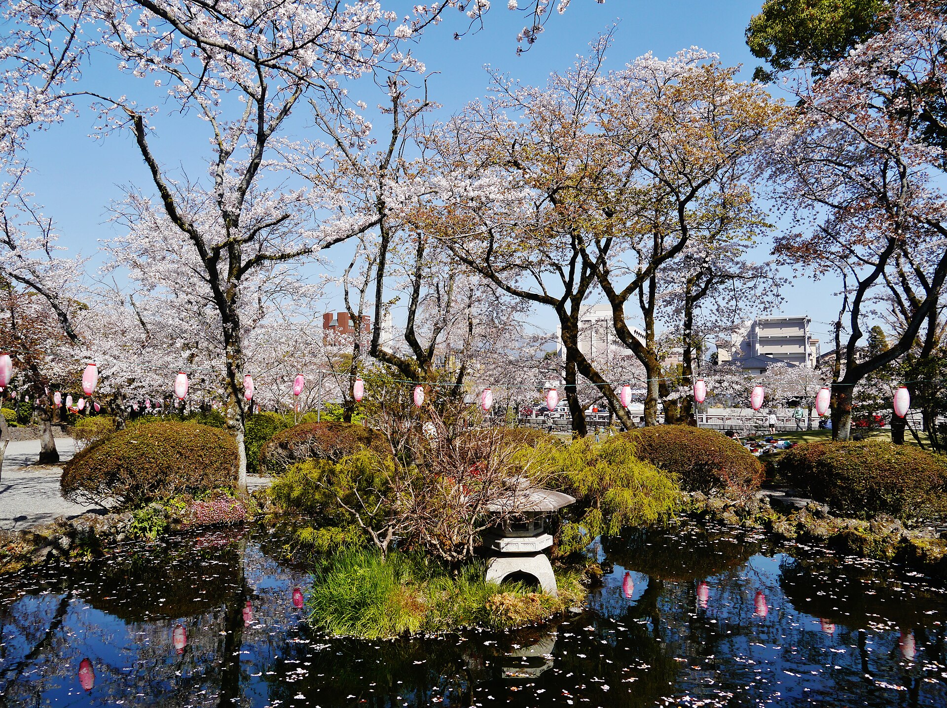 Cherry Blossom at a Pond of the Mount Fuji Hongu Sengen Shrine, Fujinomiya, Prefecture of Shizuoka, Region of Chubu, Japan